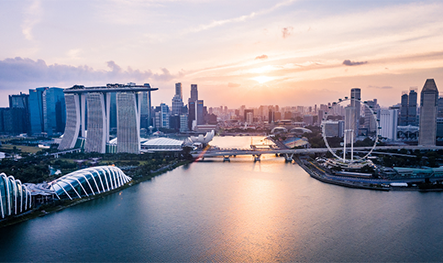 新加坡自雇移民成功案例分享